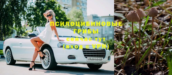 дурь Костерёво