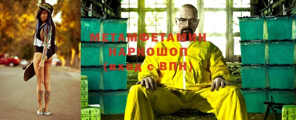 крисы Козловка