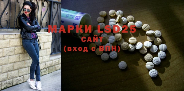 крисы Козловка