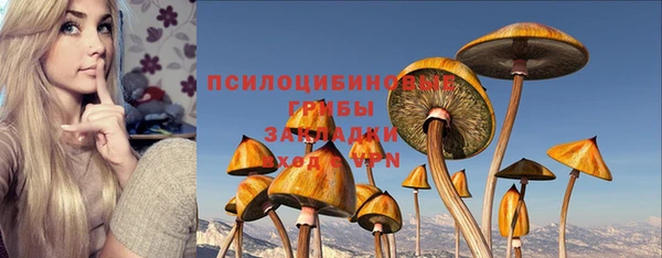 крисы Козловка