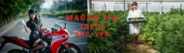 крисы Козловка