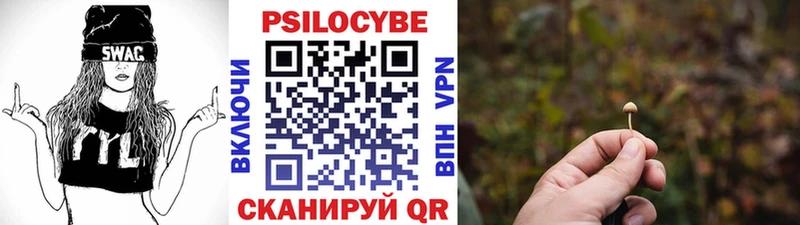 Псилоцибиновые грибы мицелий Лабинск