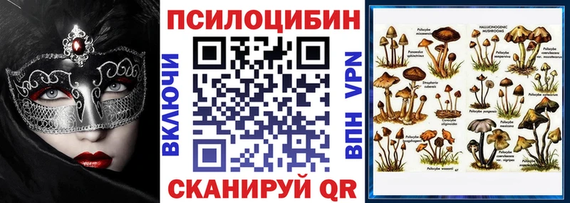 Псилоцибиновые грибы Magic Shrooms  где купить наркотик  Лабинск 